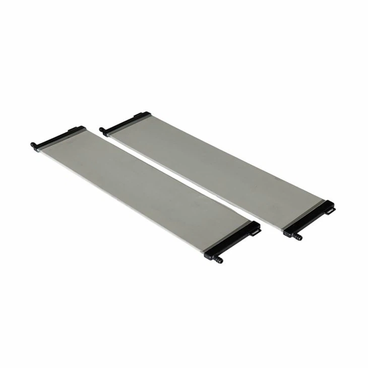 غشاء اللوحة