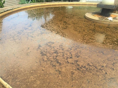 الحمأة العائمة في الخزانات الهوائية لمعالجة مياه الصرف الصحي