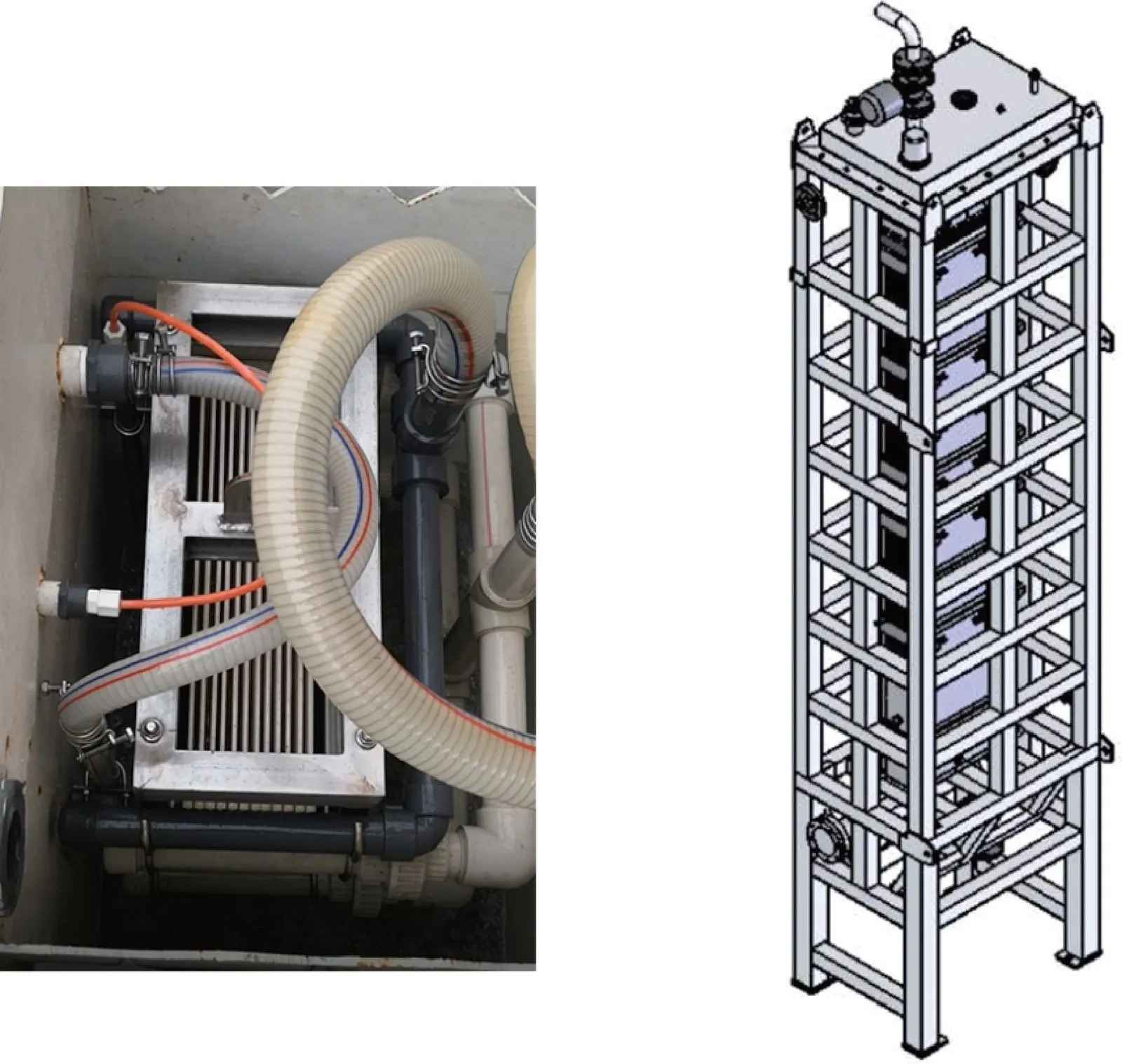 membrane membrane